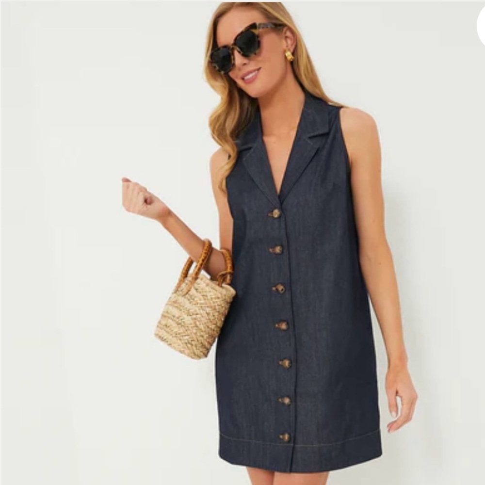 Pomander Place Dark Denim Button-Front Mini Dress